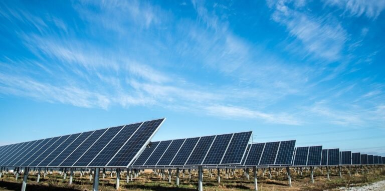 solar panels in a field